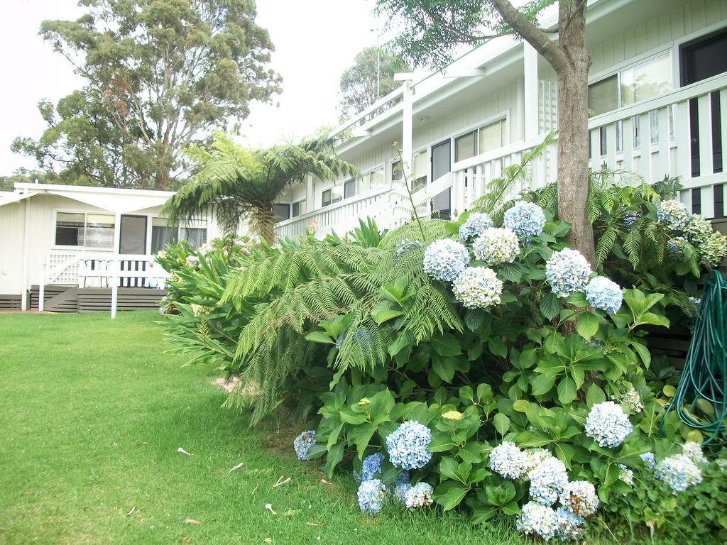 Top Of The Lake Holiday Units Merimbula Exterior foto
